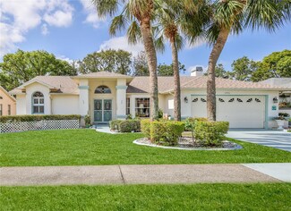 1496 Overland Dr, Spring Hill, FL 34608