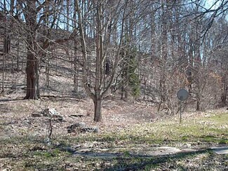 137 Palmer St, Gowanda, NY 14070