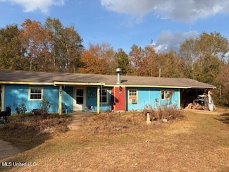 1733 Smith County Road 581, Raleigh, MS 39153