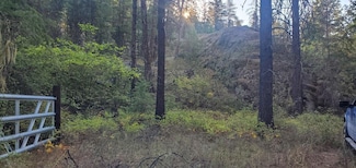 3733XX Sand Cree Rd, Kettle Falls, WA 99141