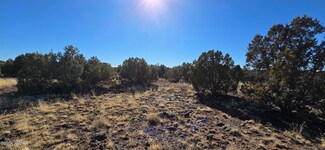 8716 Richard Rd, Show Low, AZ 85901