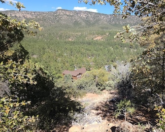 5059 Hilltop Dr, Pine, AZ 85544