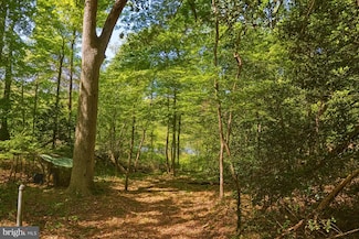 7 Gene Ave, Pasadena, MD 21122