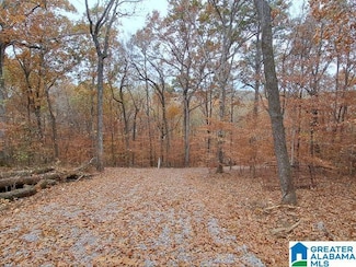 6246 Red Hollow Rd, Pinson, AL 35126