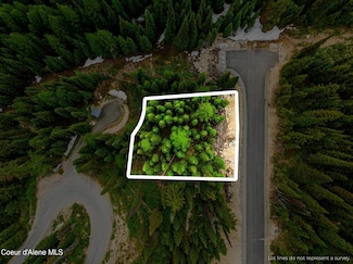 LT 6 BLK 2 Snag Line Rd, Sandpoint, ID 83864