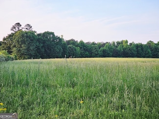 0 Welcome Road Tract 3, Roopville, GA 30170