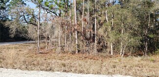 00 Sage Thrasher Ave, Weeki Wachee, FL 34614