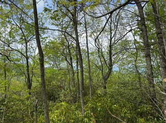 0 Cowee Mountain Unit 26040865, Bryson City, NC 28713