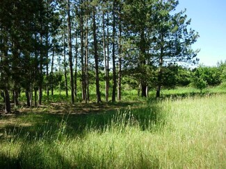 9366 Big 4 Rd, Kaleva, MI 49645