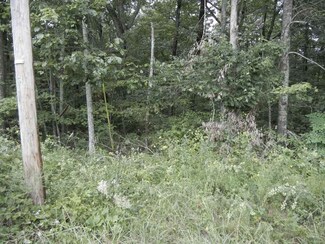 333 Hedge Iron Dr Unit Lots 475 & 476, Mammoth Cave, KY 42259