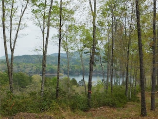 Lot 1 Old Chapman Bridge Rd, Salem, SC 29676