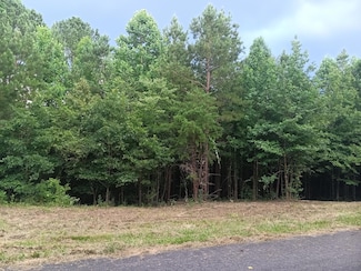 Lots 3/4 Washboard Rd SE, Old Fort, TN 37362