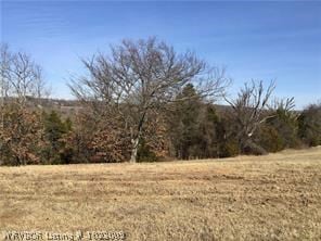 4822 Scott Farm Loop, van Buren, AR 72956