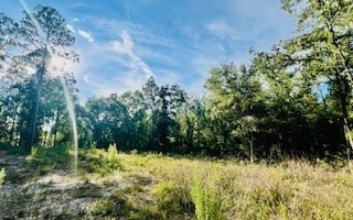 0 NW 18th Terrace, Bell, FL 32619