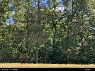 Lot 9 Robert Dr, Ellijay, GA 30536