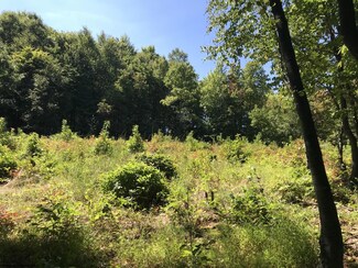 TB S Preston Hwy, Tunnelton, WV 26444
