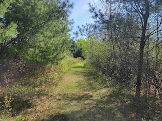 0 3 Rivers Rd Unit 50176257, Gladwin, MI 48624