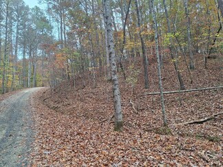 LT2909 Newton Ln, Ellijay, GA 30540