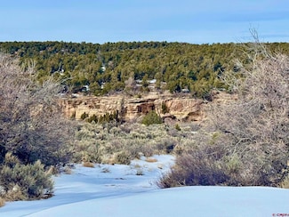 000 Cr K Rd, Dove Creek, CO 81324