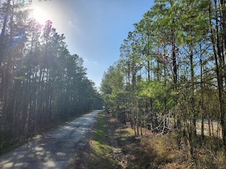 1037 Counts Rd, Point Blank, TX 77364