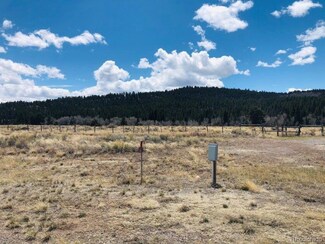11 Colorado 17, Antonito, CO 81120