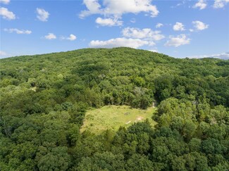 3214 Mossy Ridge Way, Pacific, MO 63069