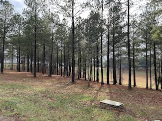 203 Pappy Rd, Jasper, TN 37347