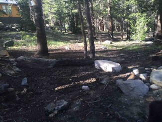 Lot 9 Virginia Lakes Sub #3 Unit 9, Virginia Lakes, CA 93517