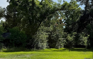 319 N Marchand Ave, Gonzales, LA 70737