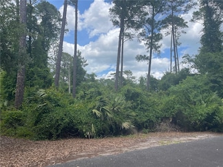 100 Springtide Ln, St. Marys, GA 31558