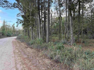 Tract RS-19 J H Jenkins Ln, Denham Springs, LA 70706