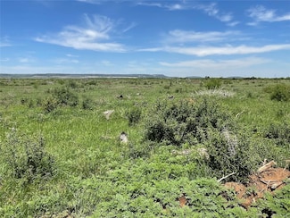 TBD 25 Acres Cr 343, Merkel, TX 79536