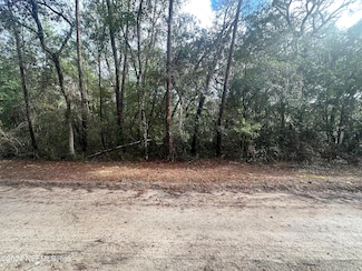 0 S Holly Ave, Florahome, FL 32140