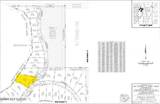 49302 S Hunter Dr, Willow, AK 99688