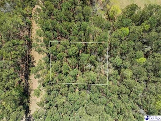 TBD Lot 17 Otwell Dr, Johnsonville, SC 29555