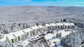 51 Leatherbark Lane #306a, Snowshoe, WV 26209