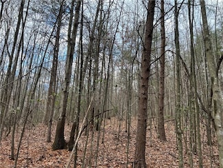 Lot 15 Fisher Valley Rd, Dobson, NC 27017