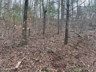 815 Tanasi Tr, Townsend, TN 37882