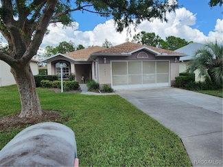 1883 W Shanelle Path, Lecanto, FL 34461