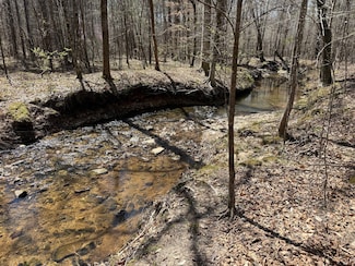 0 Sweet Water Rd, Daviston, AL 36256