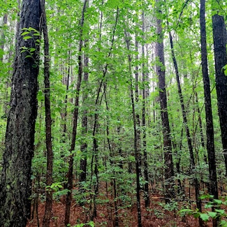 0 Gum Spring Rd, White Oak, NC 28399
