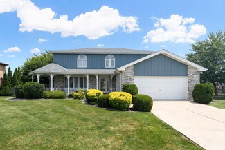 20217 E Lismore Cir, Frankfort, IL 60423
