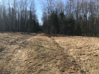 Tbd Upper Hanson Lake Rd, Bovey, MN 55709