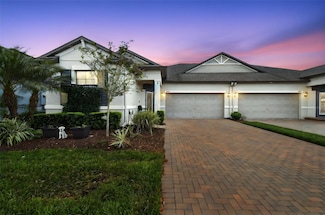 16822 Balance Cove, Land O Lakes, FL 34638
