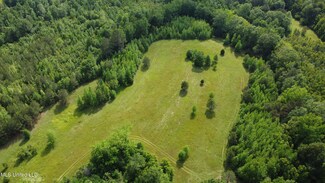 0 Fate Ward Rd, Prentiss, MS 39474