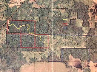 TBD Cut Foot Forest Lake Rd, Effie, MN 56639