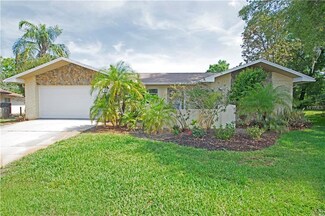 3563 Glossy Ibis Ct, Palm Harbor, FL 34683