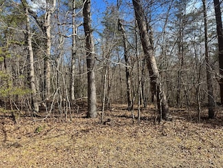 0 Cumberland Lakes Dr Unit 234856, Monterey, TN 38574