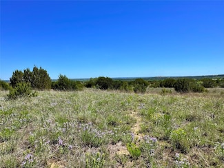 TBD E Fm 581 Rd, Lometa, TX 76853