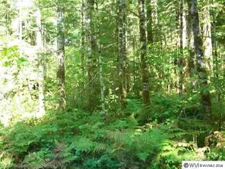 Lot 4 Francis Way, Lyons, OR 97358